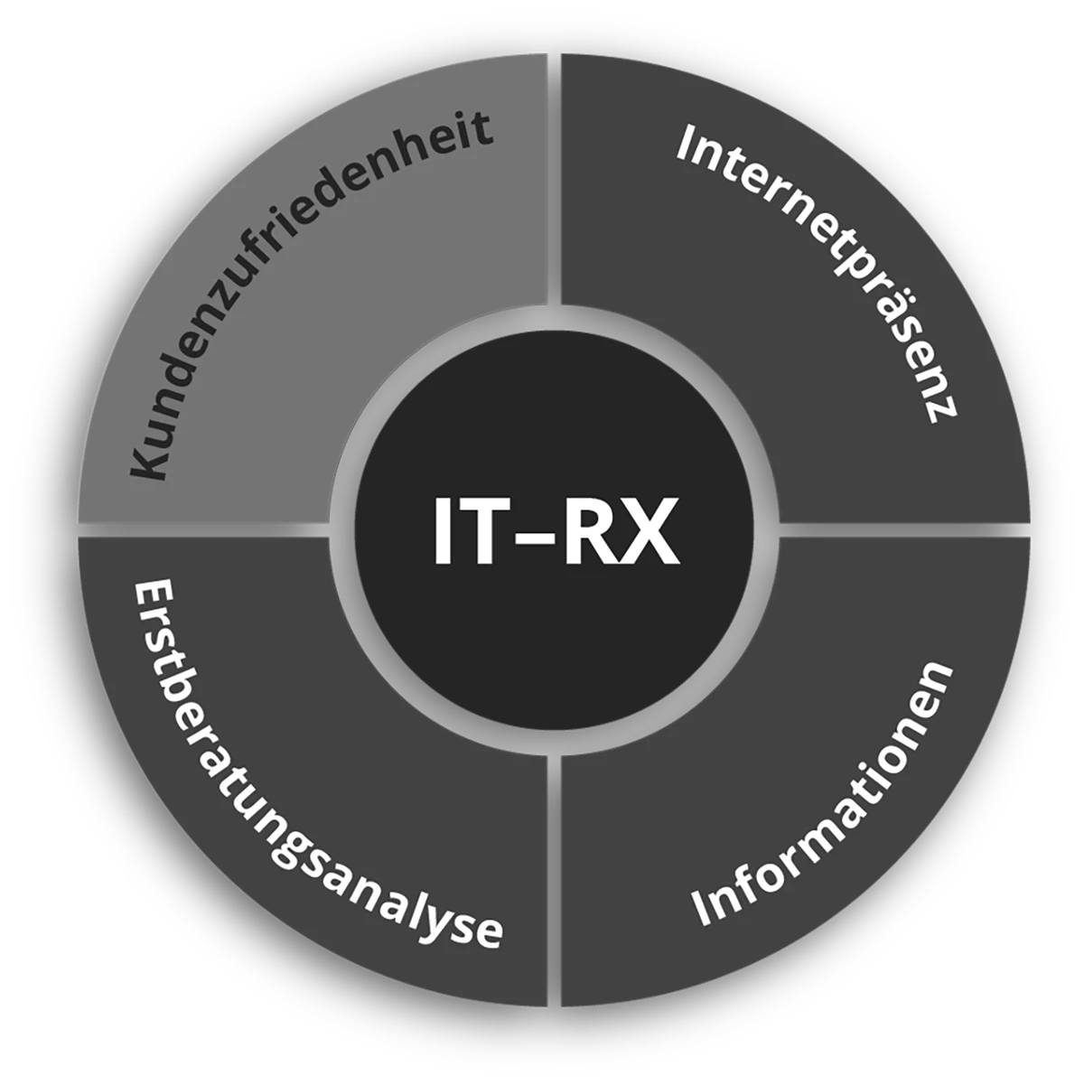 Die vier Basiskriterien des IT-RX, IQITS-RX Grafik